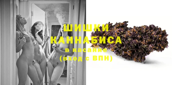 прущие грибы Кинешма