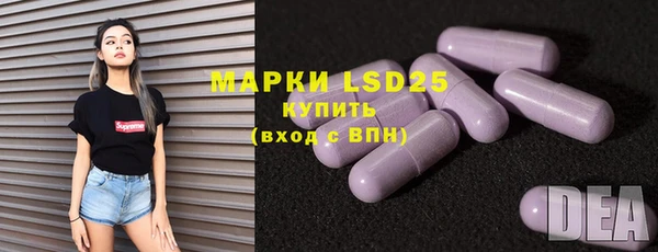индика Киренск