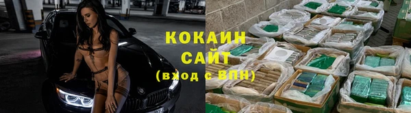 индика Киренск