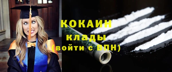 индика Киренск