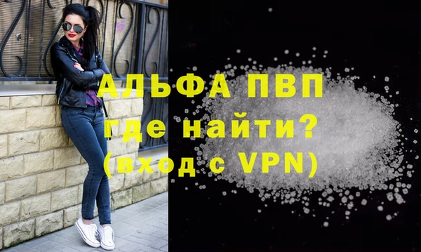 прущие грибы Кинешма