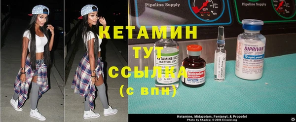 прущие грибы Кинешма