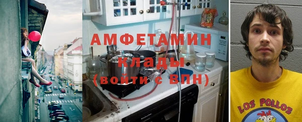 прущие грибы Кинешма