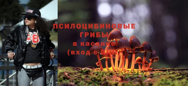прущие грибы Кинешма