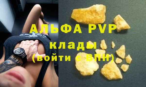 прущие грибы Кинешма