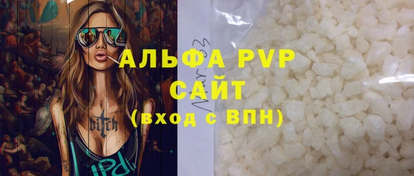 индика Киренск